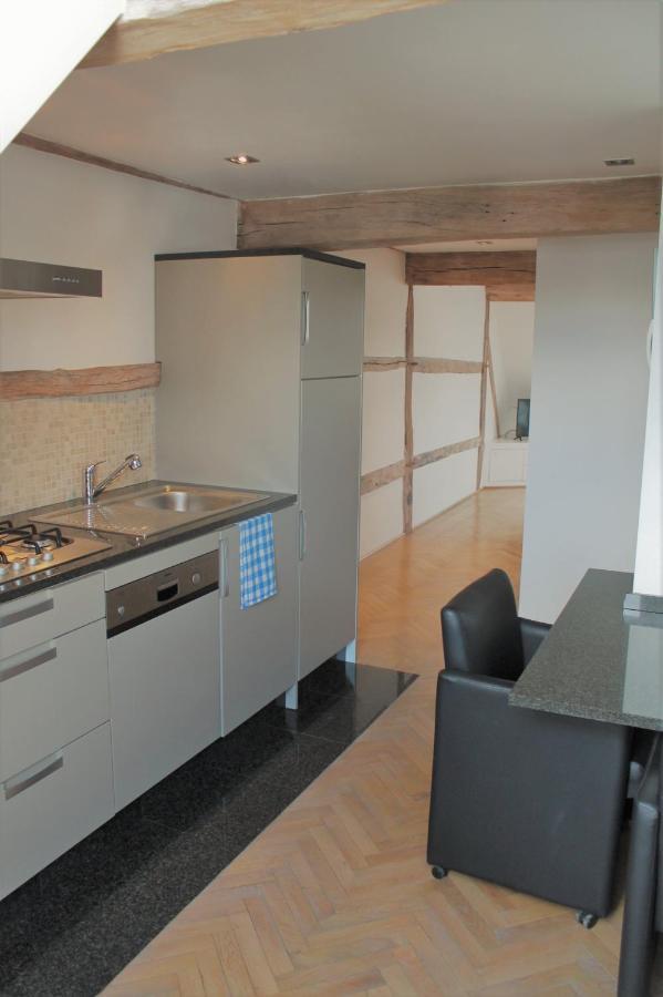 Apartment De Maasnacht Maaseik Ngoại thất bức ảnh