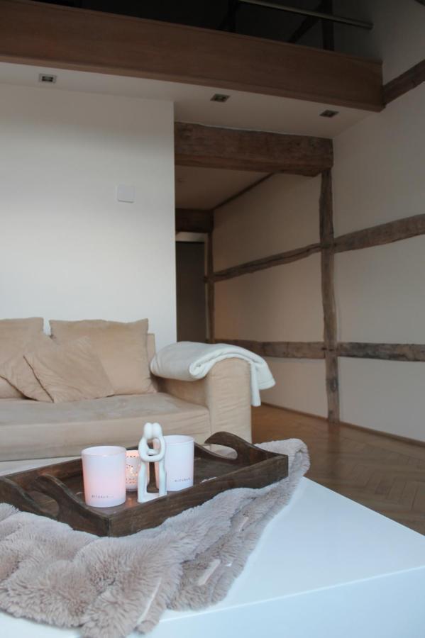 Apartment De Maasnacht Maaseik Ngoại thất bức ảnh